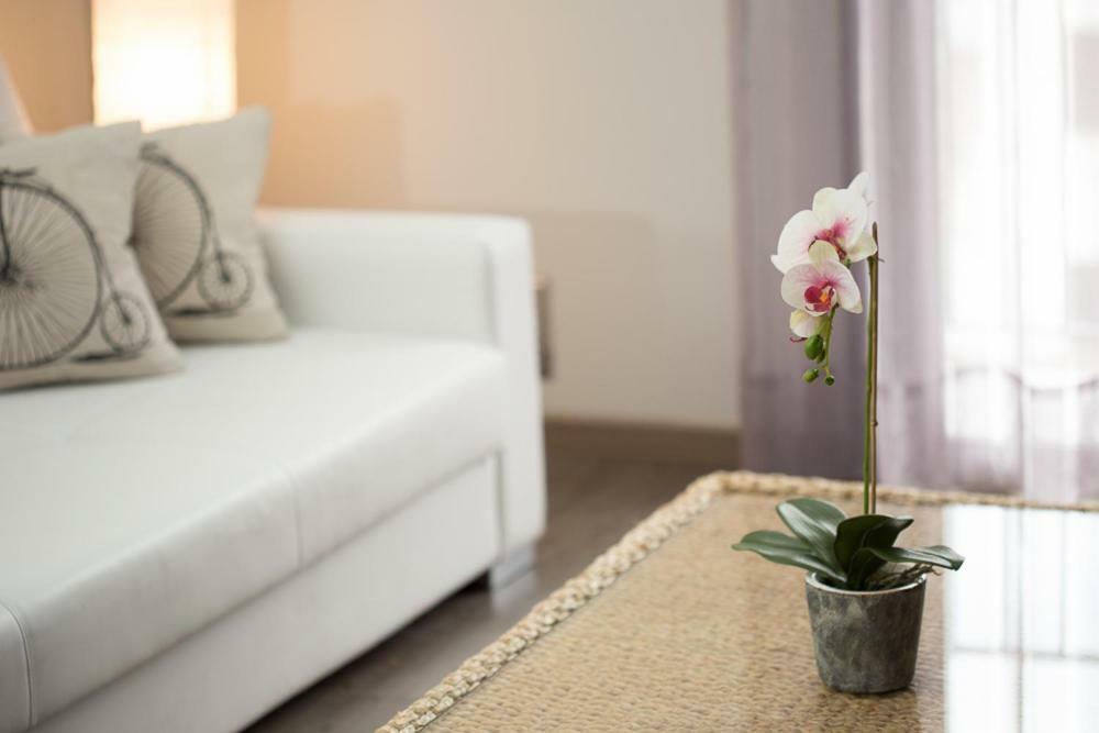 חרטה Apartamentos Dacris מראה חיצוני תמונה